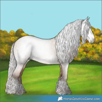 Horse Color:Gray Silver Sable Champagne Dun Tobiano Brindle 