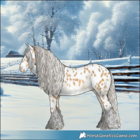 Horse Color:Silver Sable Cream Champagne Tobiano Appaloosa 
