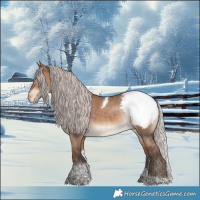 Horse Color:Silver Brown Dun Tobiano Appaloosa 