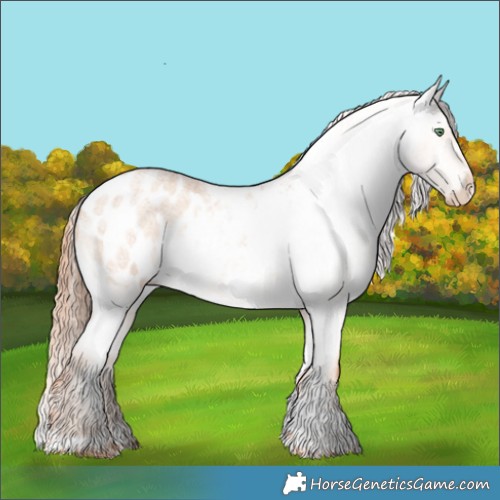Horse Color:Gold Champagne Roan Dun Tobiano Appaloosa Brindle 