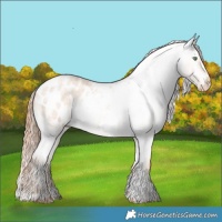 Horse Color:Gold Champagne Roan Dun Tobiano Blanket Brindle 
