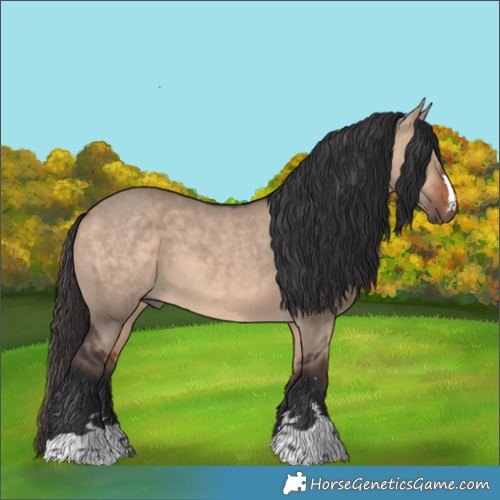 Horse Color:Bay Dun 