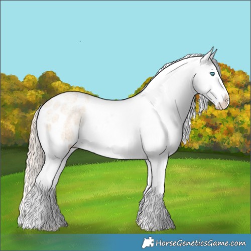 Horse Color:Gold Cream Champagne Roan Dun Appaloosa Brindle 