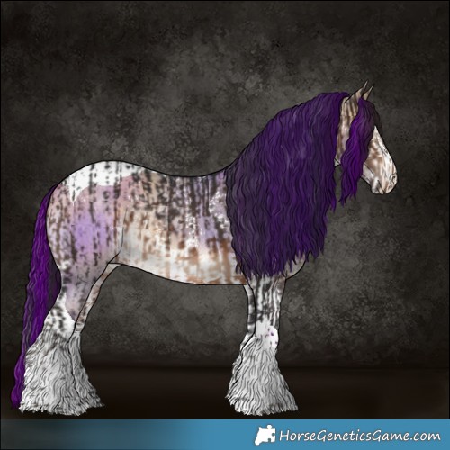 Horse Color:Brown Tobiano Rabicano  and Bay Dun Sabino Tobiano Brindle 