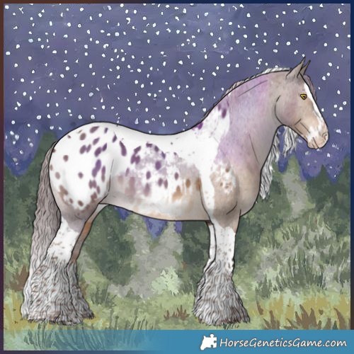 Horse Color:Liver Red Dun Splash Tobiano Appaloosa 