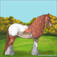 Horse Color:Liver Red Dun Tobiano Appaloosa Rabicano Brindle 