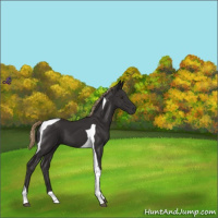 Horse Color:Liver Chestnut Tobiano 