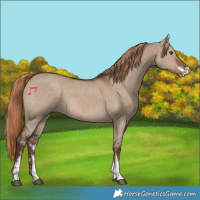 Horse Color:Liver Red Dun Sabino