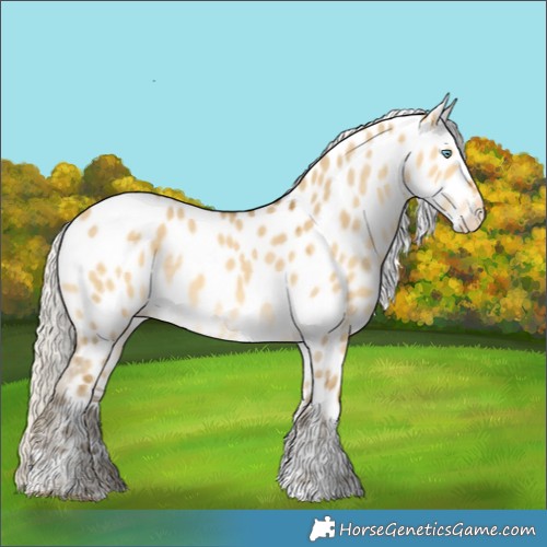 Horse Color:Silver Sable Cream Champagne Dun Tobiano Appaloosa Rabicano 
