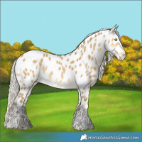 Horse Color:Silver Sable Cream Champagne Dun Tobiano Near Leopard Rabicano 