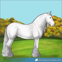 Horse Color:Gray Liver Red Dun Splash Tobiano Blanket  and Gray Liver Chestnut Splash Tobiano 