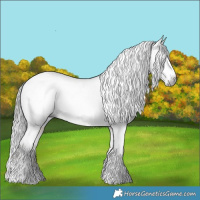 Horse Color:Gray Brown Dun Tobiano Appaloosa 
