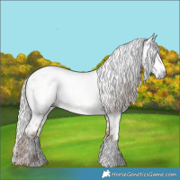 Horse Color:Gray Silver Amber Champagne Dun Sabino Near Leopard 