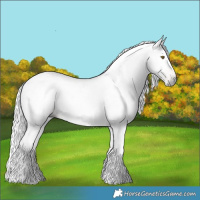 Horse Color:Gray Liver Chestnut Tobiano 