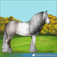 Horse Color:Gray Liver Chestnut Tobiano 