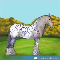 Horse Color:Brown Dun Tobiano Blanket 