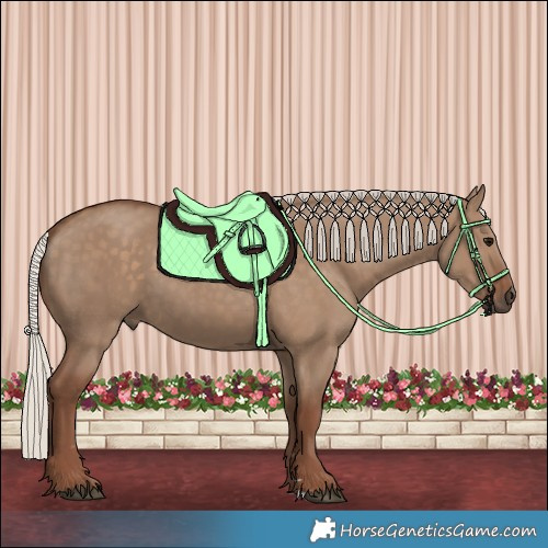 Horse Color:Silver Grullo 
