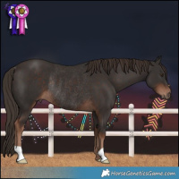 Horse Color:Liver Chestnut Rabicano 