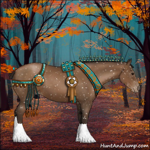 Horse Color:Gray Black Pearl Appaloosa