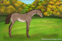 Horse Color:Liver Red Dun 