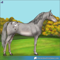 Horse Color:Liver Chestnut Mushroom Varnish 