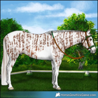 Horse Color:Chestnut Splash Tobiano  and Gray Silver Bay Splash Tobiano 