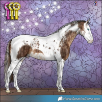 Horse Color:Bay Dun Splash Tobiano  and Gray Chestnut Splash Tobiano 