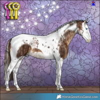 Horse Color:Bay Dun Splash Tobiano  and Gray Chestnut Splash Tobiano 