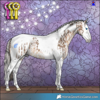Horse Color:Bay Dun Splash Tobiano and Gray Chestnut Splash Tobiano