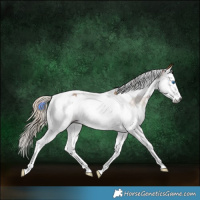 Horse Color:Gray Palomino Splash Tobiano 