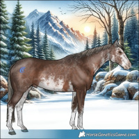 Horse Color:White Spotted Liver Chestnut Mushroom 