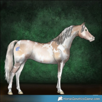 Horse Color:White Spotted Chocolate Palomino Pearl Onyx 