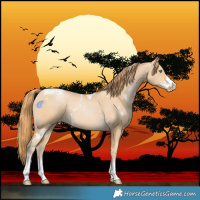 Horse Color:White Spotted Smoky Black Pearl Tobiano 