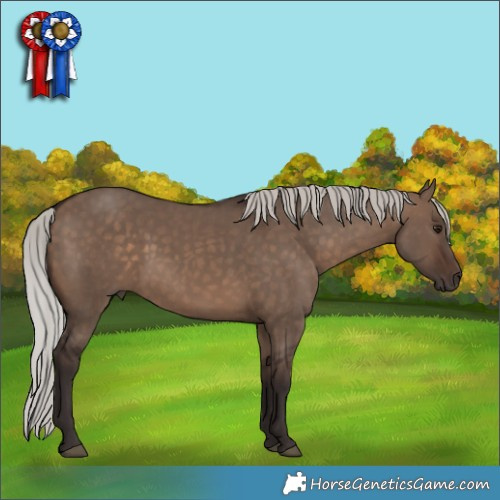 Horse Color:Silver Brown Dun 