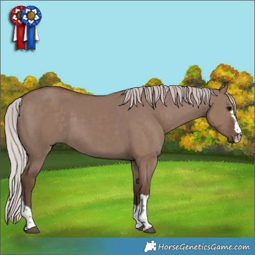 Horse Color:Silver Grullo 