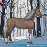 Horse Color:White Spotted Silver Grullo Tobiano