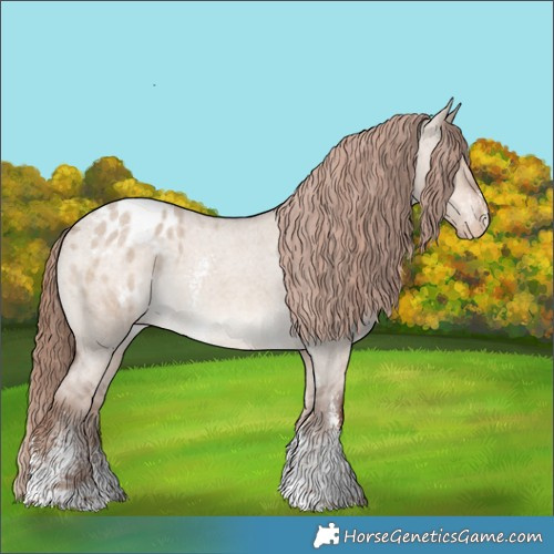 Horse Color:Liver Red Dun Roan Sabino Appaloosa Rabicano 