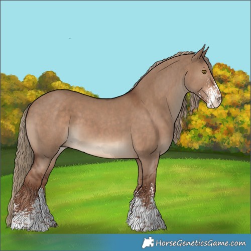 Horse Color:Liver Red Dun Sabino 
