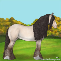Horse Color:Sable Champagne Roan Dun Sabino 