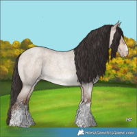 Horse Color:Sable Champagne Roan Dun Sabino 
