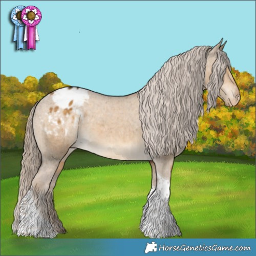 Horse Color:Chocolate Palomino Dun Tobiano Appaloosa 