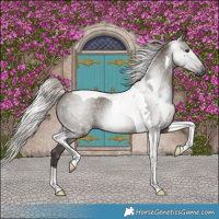 Horse Color:Gray Silver Grullo Tobiano 