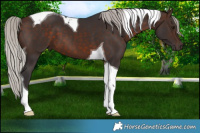 Horse Color:Silver Brown Tobiano 