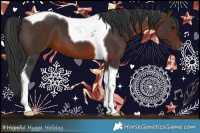 Horse Color:Brown Tobiano 