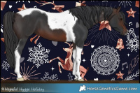 Horse Color:Brown Tobiano