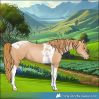 Horse Color:Chestnut Pearl Tobiano