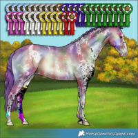 Horse Color:Nacre Watercolor White Spotted Bay Onyx