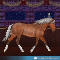 Horse Color:Silver Bay Rabicano