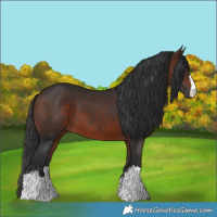 Horse Color:Brown 