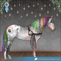 Horse Color:Gray Painted Black Ice Appaloosa